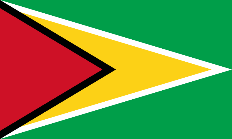 ガイアナ共和国の国旗